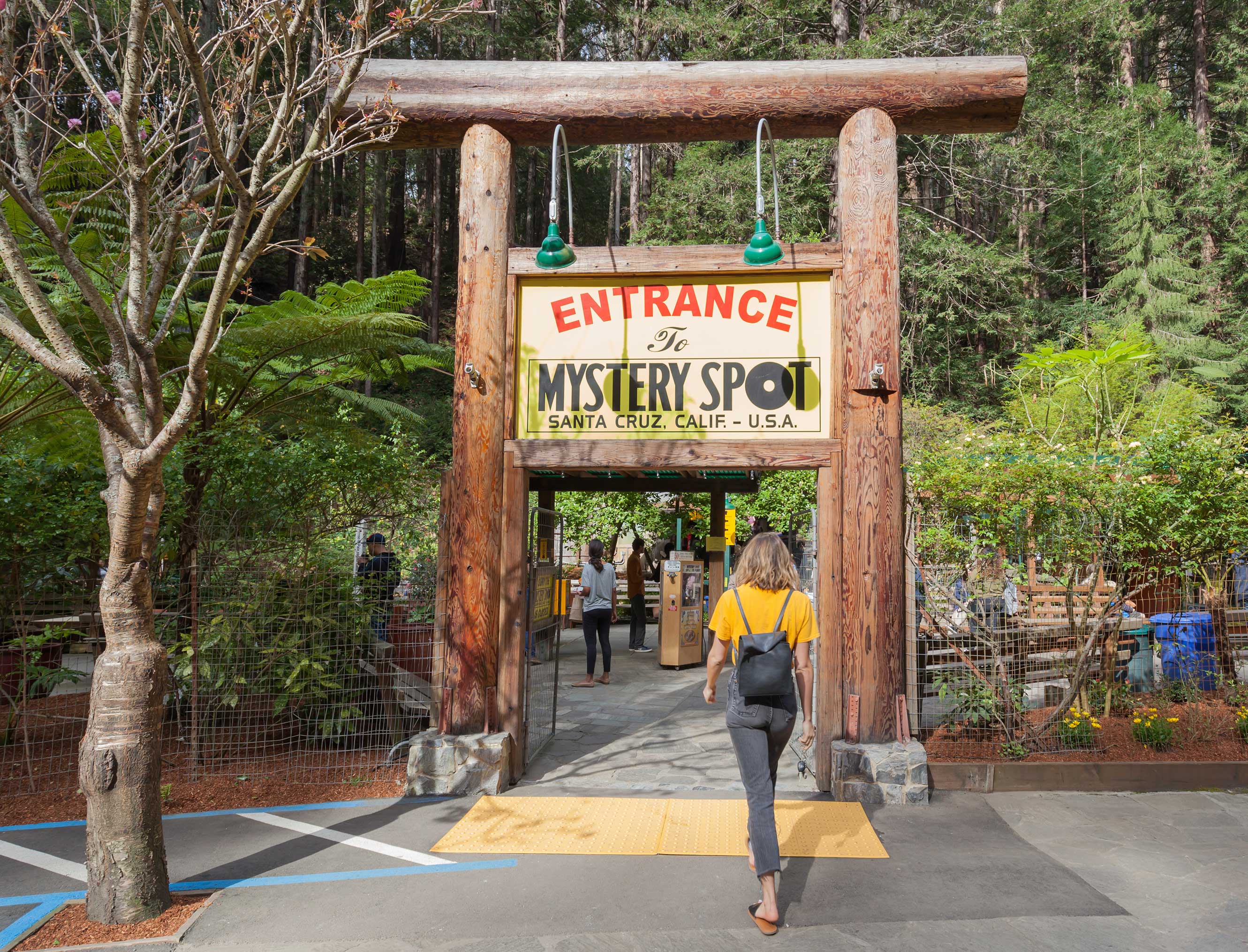 The Mystery Spot