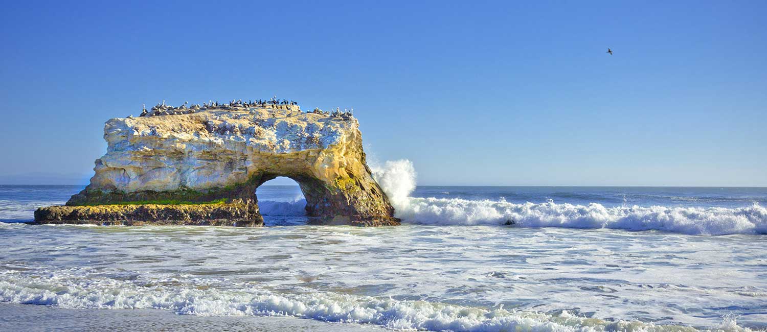 Immerse Yourself in the Beauty of Santa Cruz