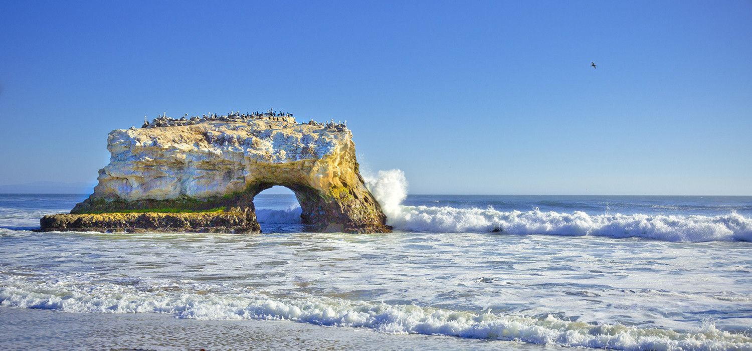 Immerse Yourself in the Beauty of Santa Cruz